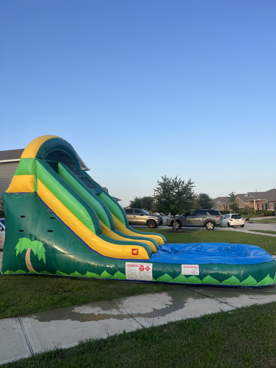 Palm Tree Slide 14ft